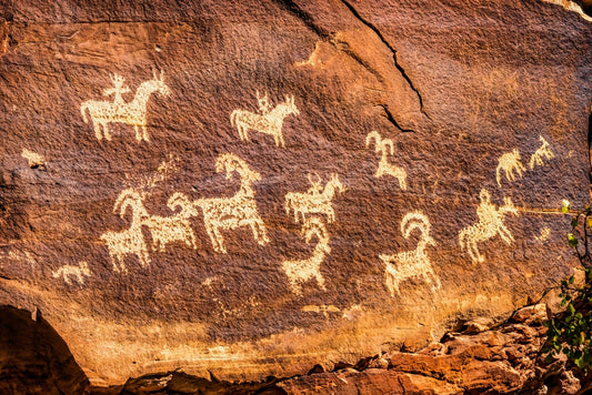 Dogs and American Indians